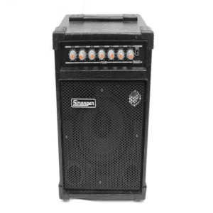 stranger-pm-40-musical-amplifier